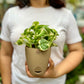N'joy Pothos