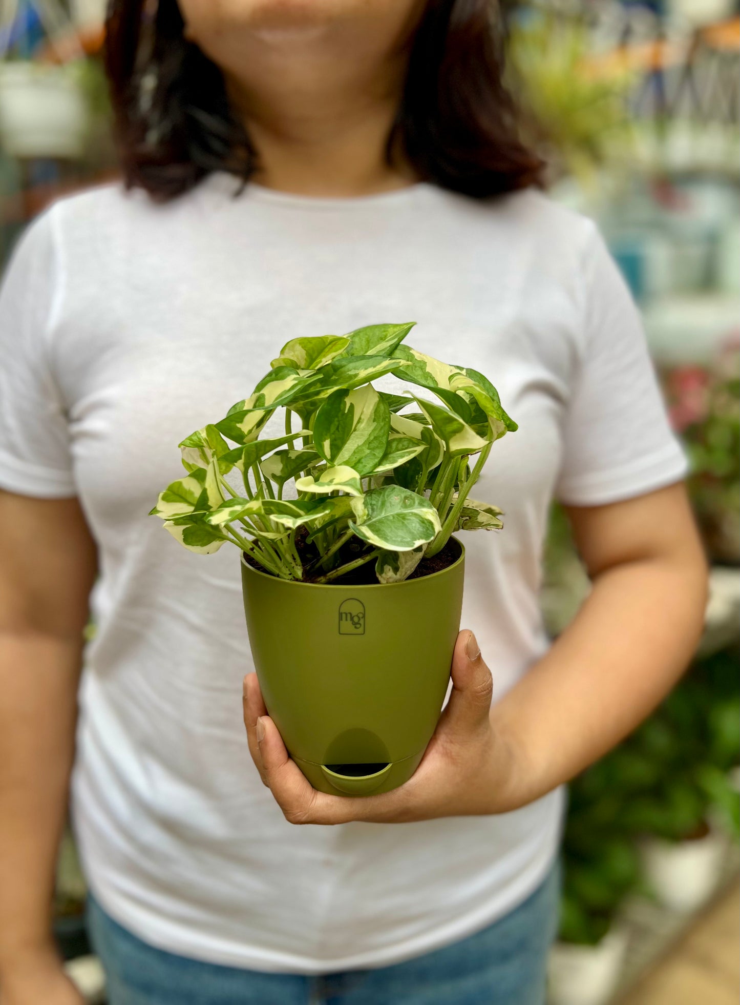 N'joy Pothos