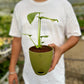 Varigated Monstera