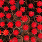 Moon Cactus (Red)