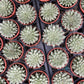 Graptoveria Silver Star