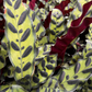 RattleSnake Plant