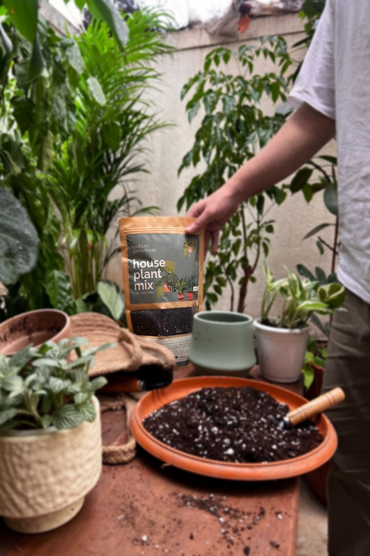 Houseplant mix