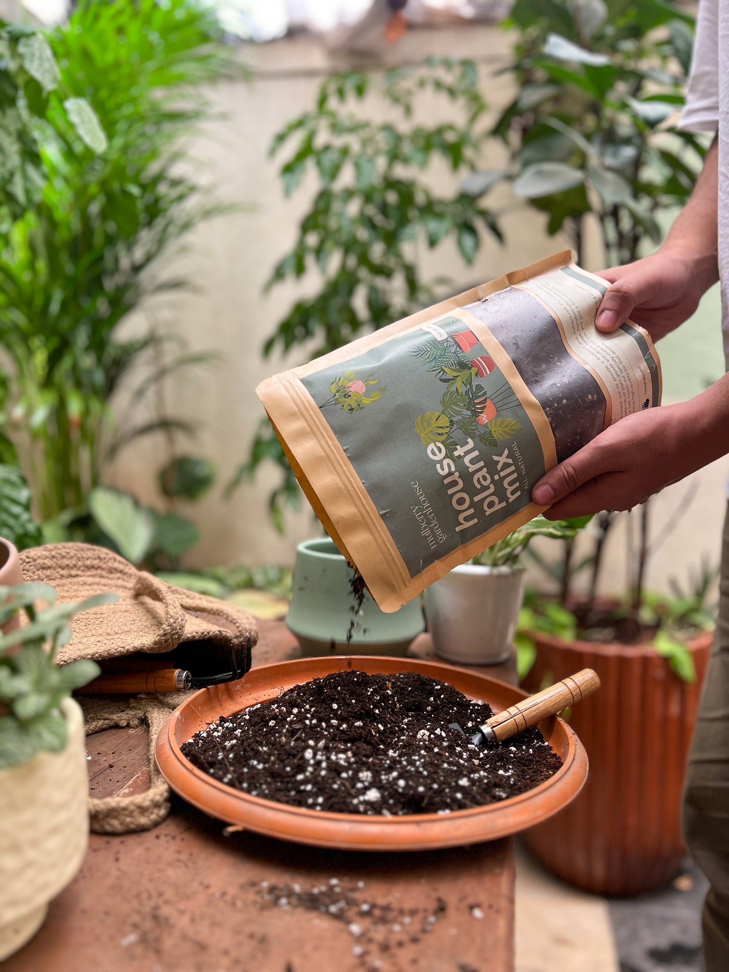 Houseplant mix