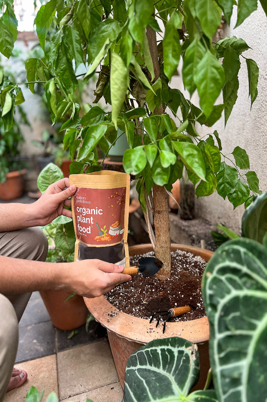 Organic Plant Food