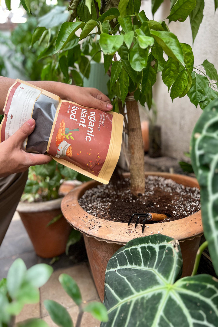Organic Plant Food