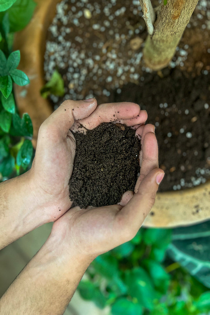 Organic Plant Food